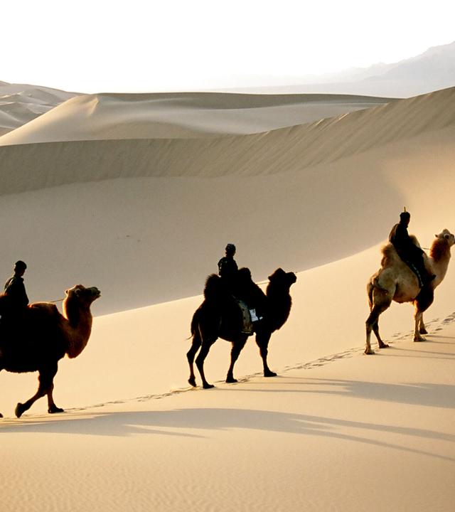 Reiter in der Wüste Gobi