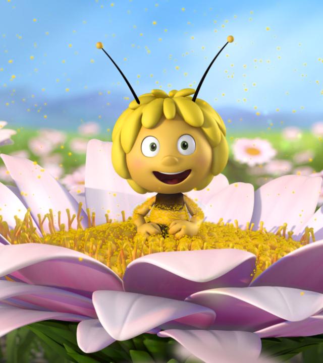 Maja sitzt in der Blüte einer Blume, um sie herum viele weitere Blüten und viele Pollen