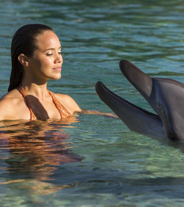 Mimmi schwimmt mit einem Delfin zusammen im Wasser.