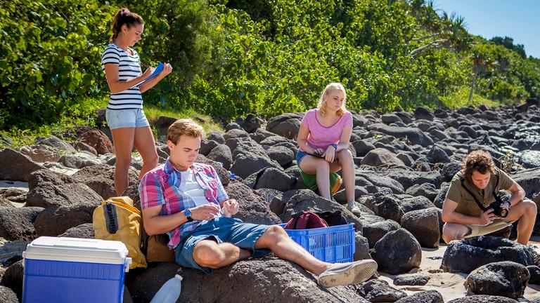 Picknick am Strand