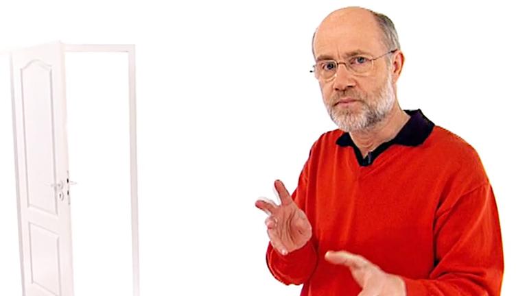 Professor Harald Lesch