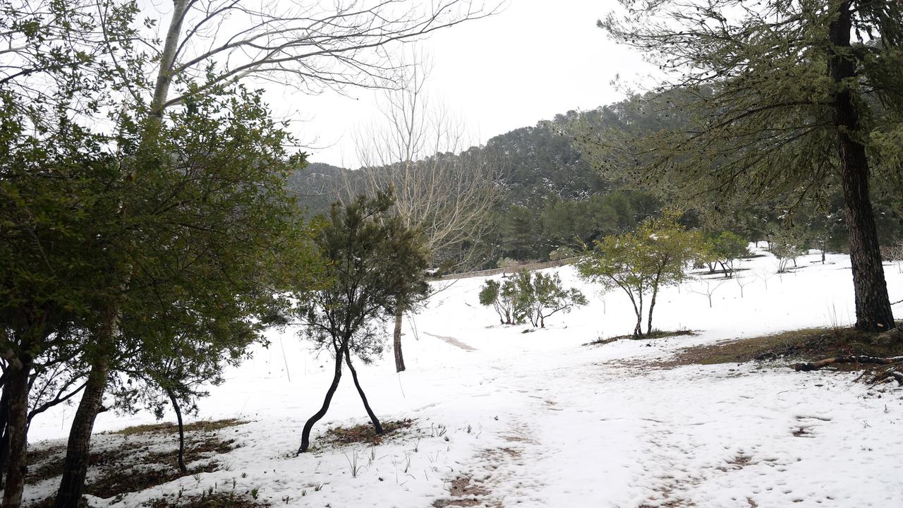 Schnee statt Strandwetter auf Mallorca