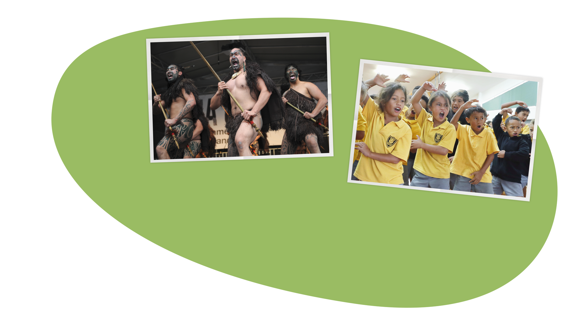Bild für Geschichte der Māori