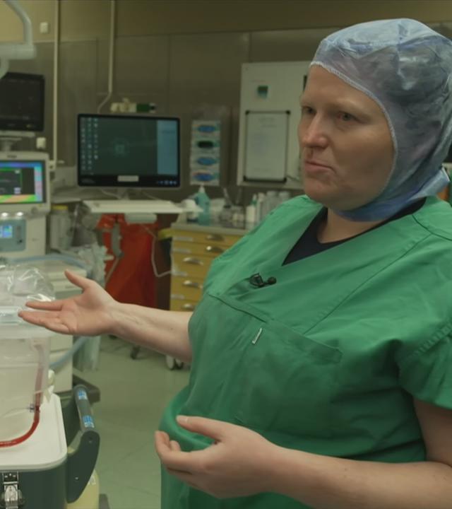 Wegen der besseren Haltbarkeit durch die Maschinenperfusion könnte sich die Anzahl der Spenderlebern erhöhen.