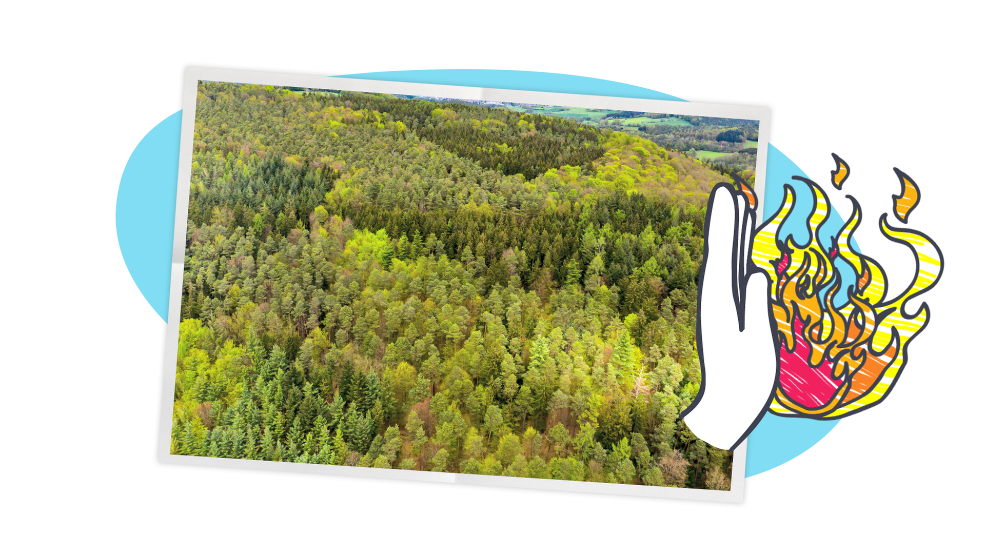 Ein Bild von einem grünen Wald, darauf eine Hand die gegen Feuer gerichtet ist. Dahinter ein blauer und weißer Hintergrund.