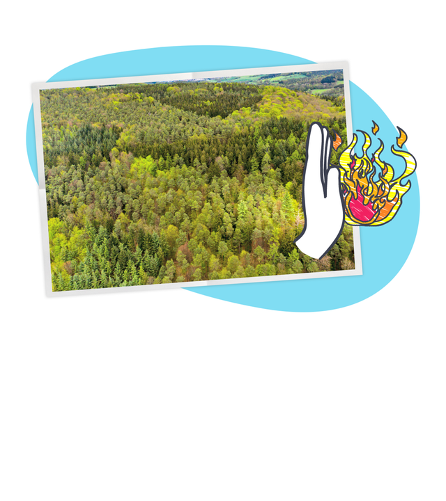 Ein Bild von einem grünen Wald, darauf eine Hand die gegen Feuer gerichtet ist. Dahinter ein blauer und weißer Hintergrund.