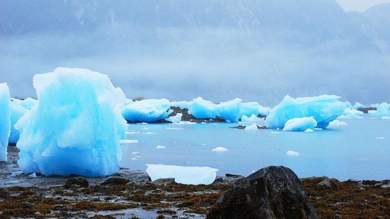 McBride-Gletscher in der Glacier Bay
