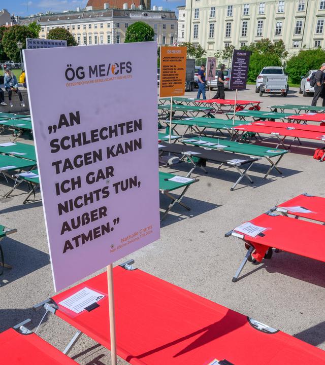 ME CFS-Tag Wien 2025