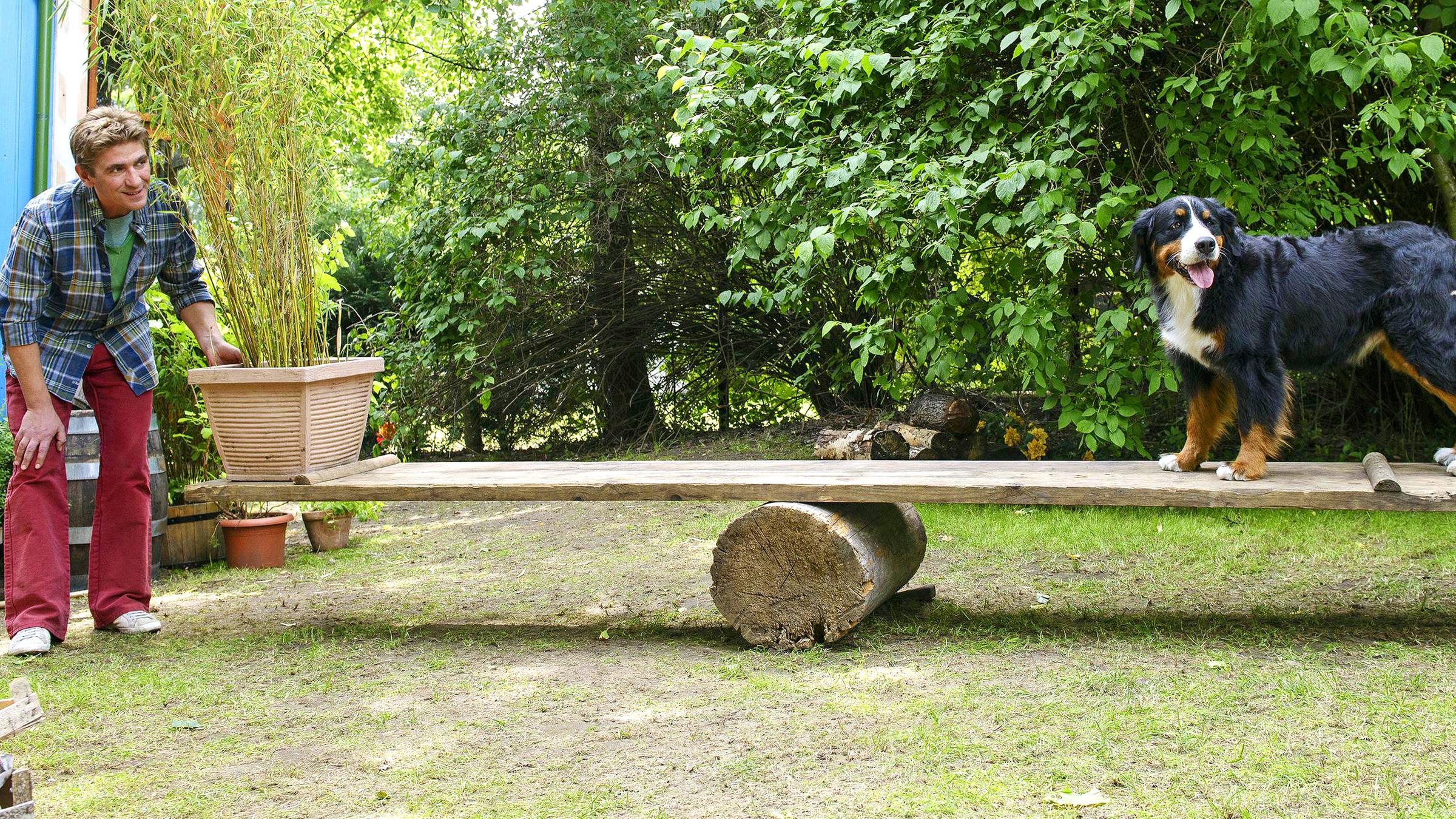 Fritz baut eine Wippe für Keks