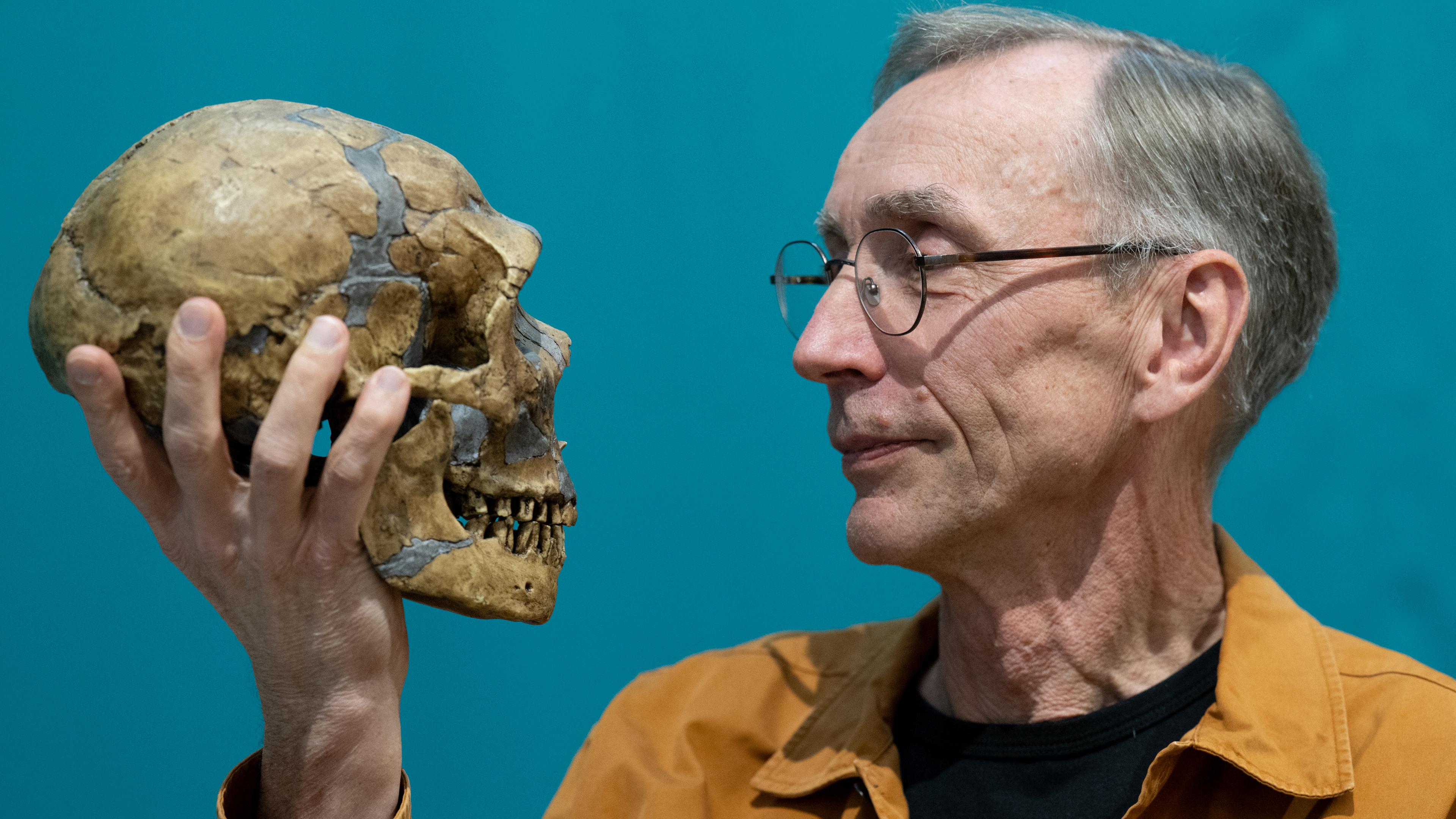 Der schwedische Evolutionsforscher Svante Pääbo hält im Max-Planck-Institut für evolutionäre Anthropologie in Leipzig die Nachbildung eines Neandertaler-Schädels in der Hand.