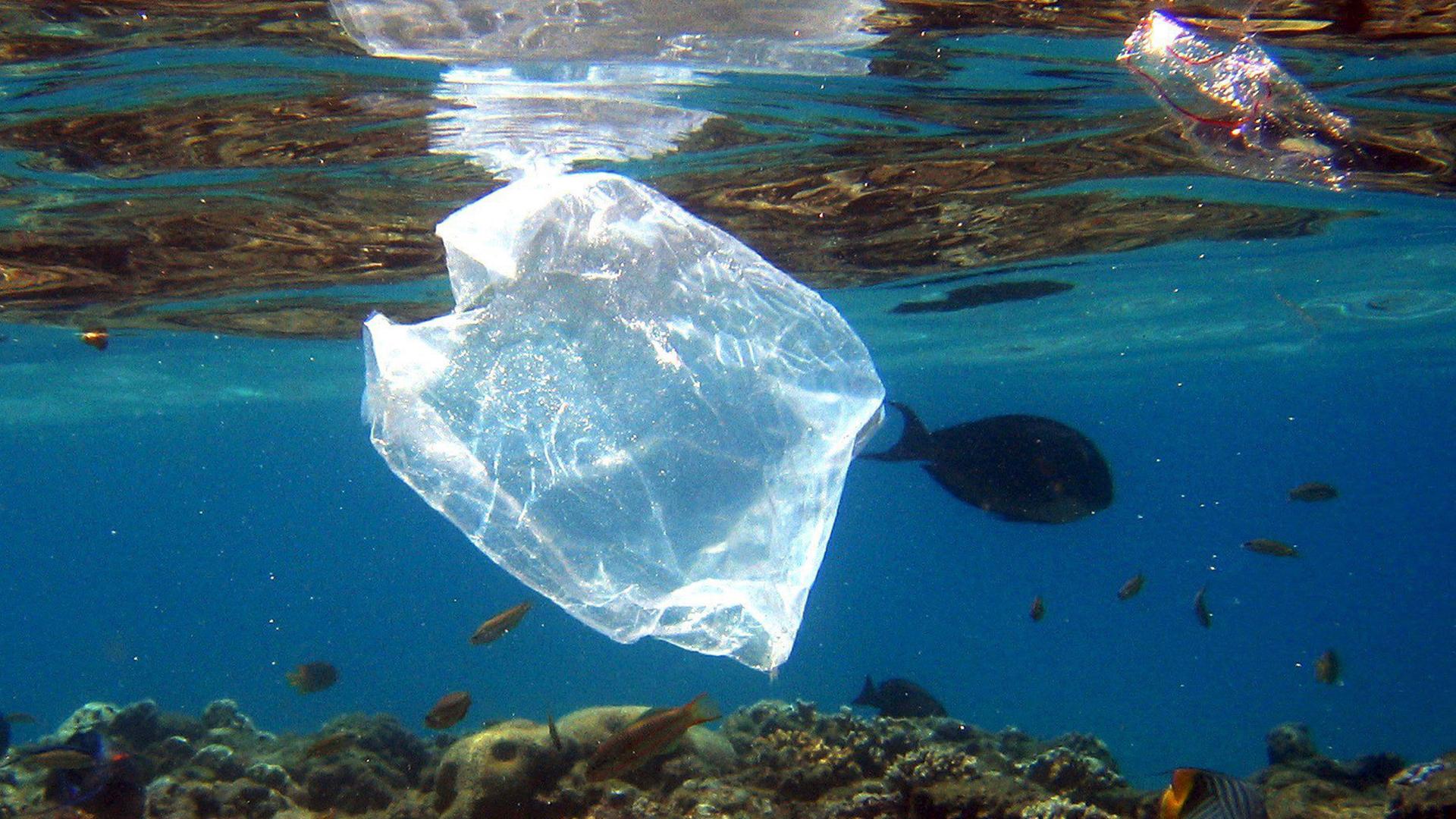 Plastiktüte an einem Korallenriff in Ägypten