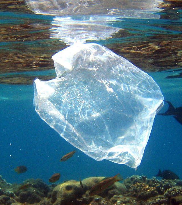 Plastiktüte an einem Korallenriff in Ägypten