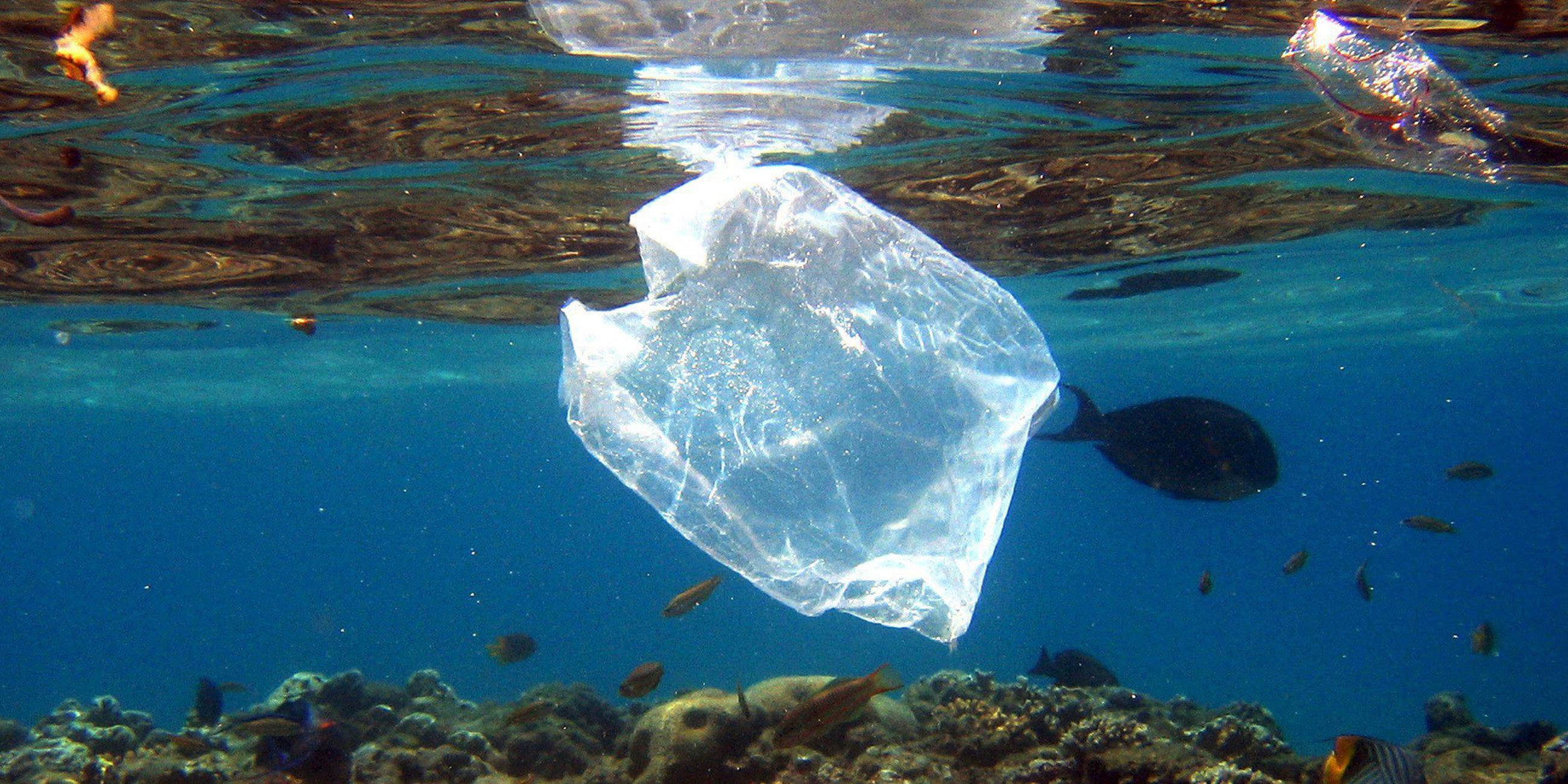 Plastiktüte an einem Korallenriff in Ägypten
