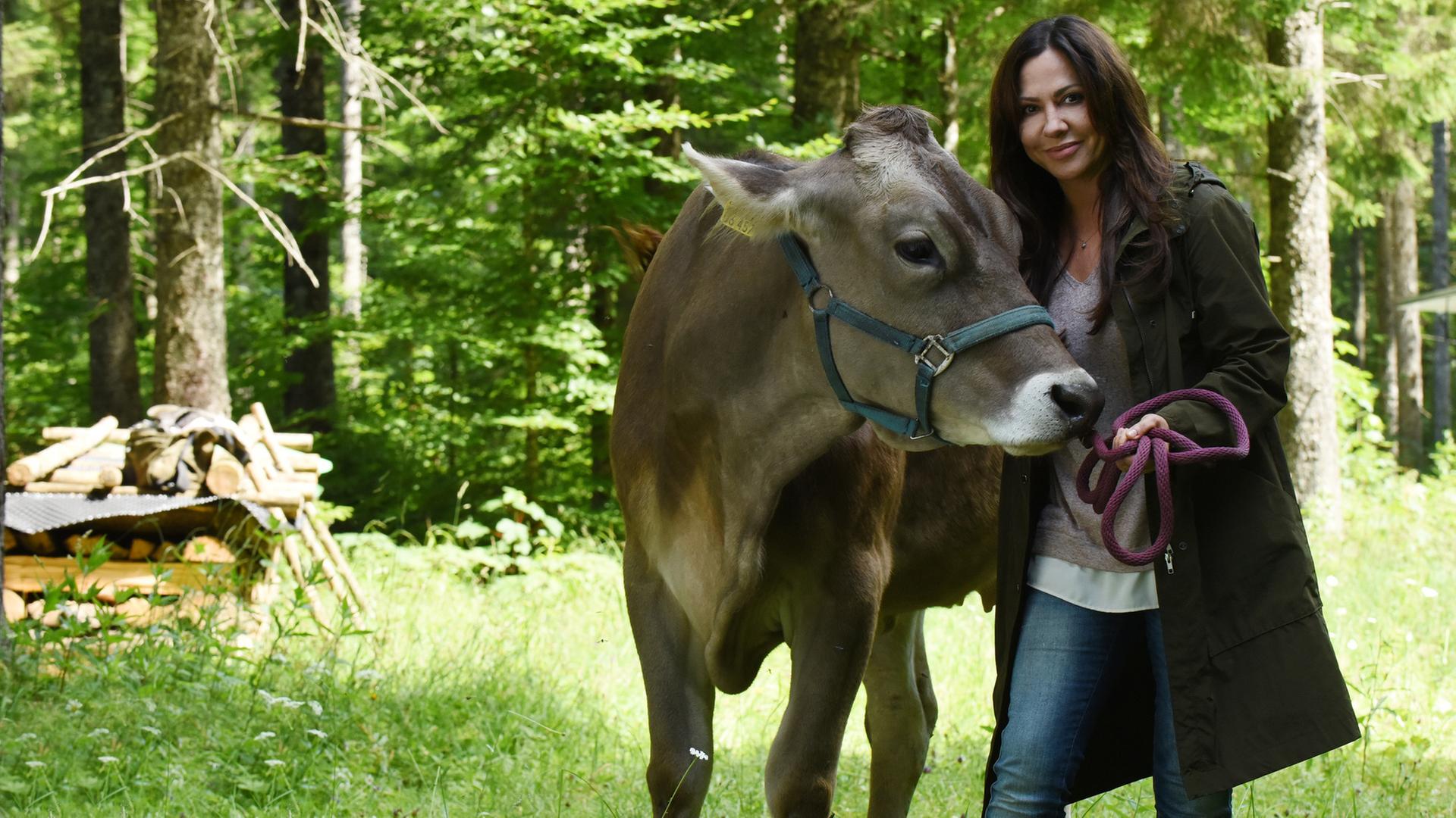 "Frühling - Mehr als Freunde": Dorfhelferin Katja (Simone Thomalla) steht auf einer Waldlichtung, hält eine Kuh am Zaumzeug fest und lächelt.
