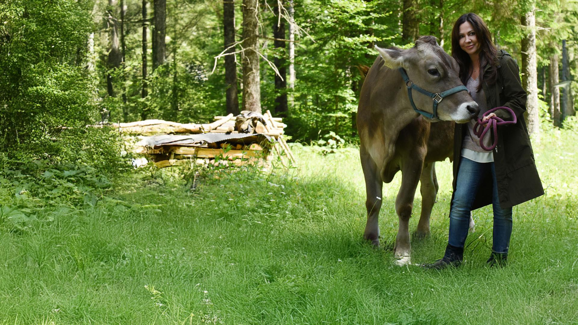 "Frühling - Mehr als Freunde": Dorfhelferin Katja (Simone Thomalla) steht auf einer Waldlichtung, hält eine Kuh am Zaumzeug fest und lächelt.