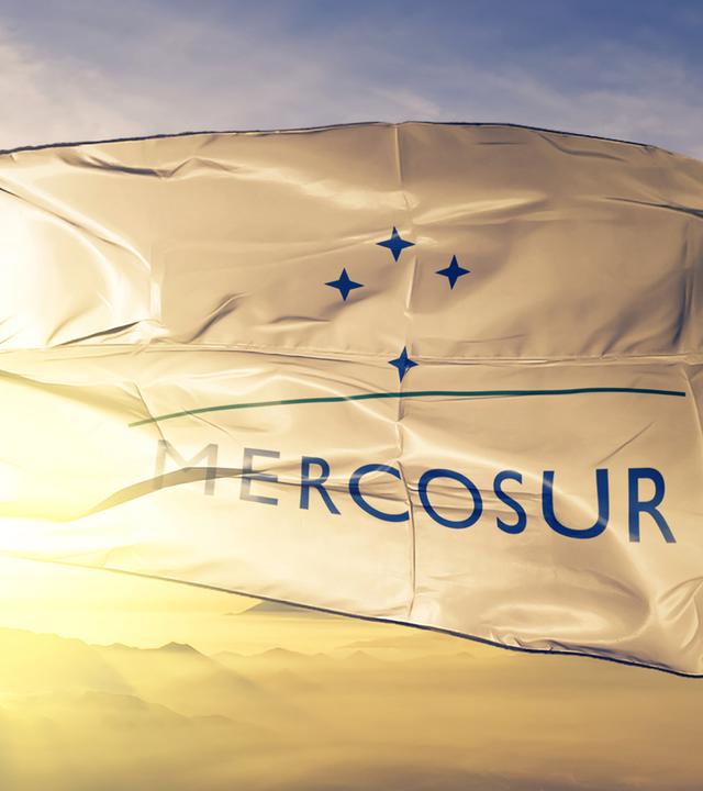 Fahne mit Schriftzug "Mercosur"