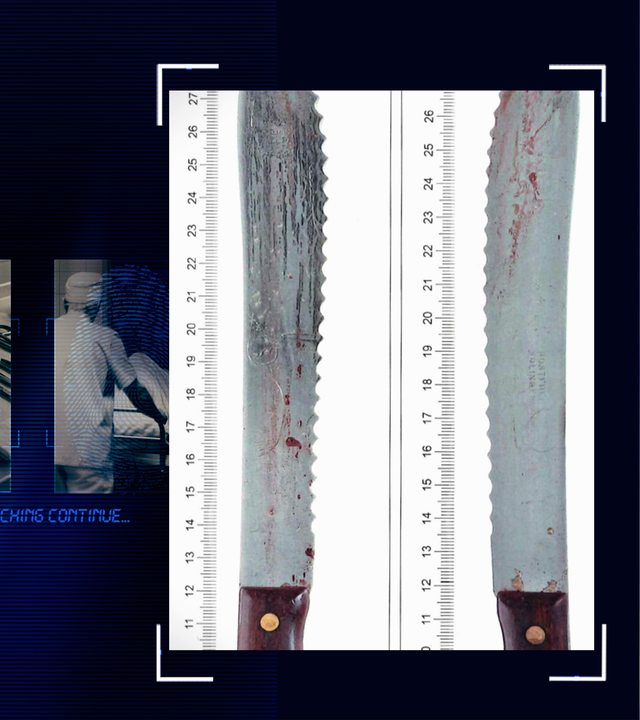 Bild aus der Polizieakte - zwei blutverschmierte Messer. An zwei Linealen ist die Größe abzulesen. Links daneben: Lichtschematische Darstellung eines Fingerabdrucks.