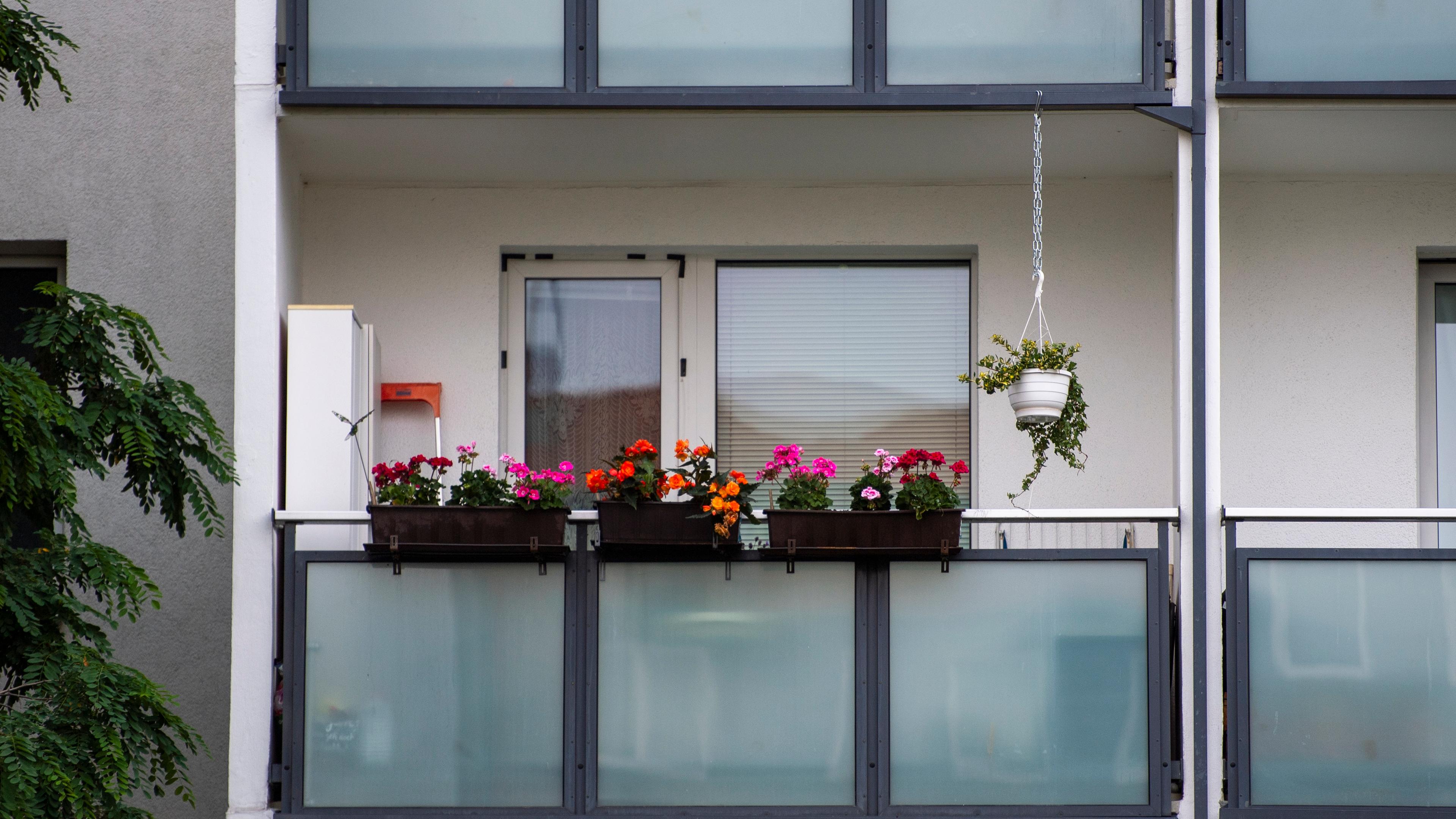 Auf dem Balkon eines Mietshauses in Berlin stehen Blumen. 
