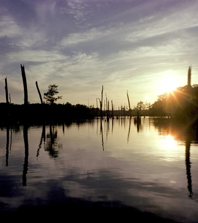 Mississippi-Sümpfe