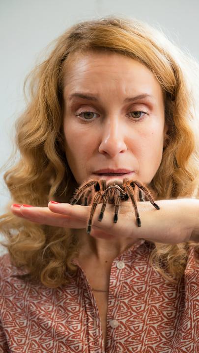 Mit der Tür ins Haus