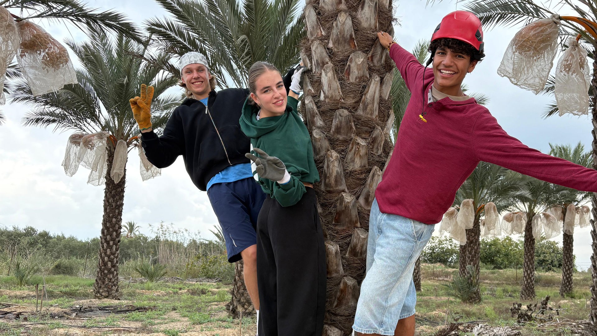 v.l.n.r. Jan, Lenja und Adrian halten sich an einer Palme fest, lehnen sich nach hinten und lächeln in die Kamera mit einladenden Gesten.