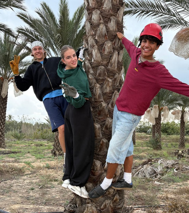 v.l.n.r. Jan, Lenja und Adrian halten sich an einer Palme fest, lehnen sich nach hinten und lächeln in die Kamera mit einladenden Gesten.