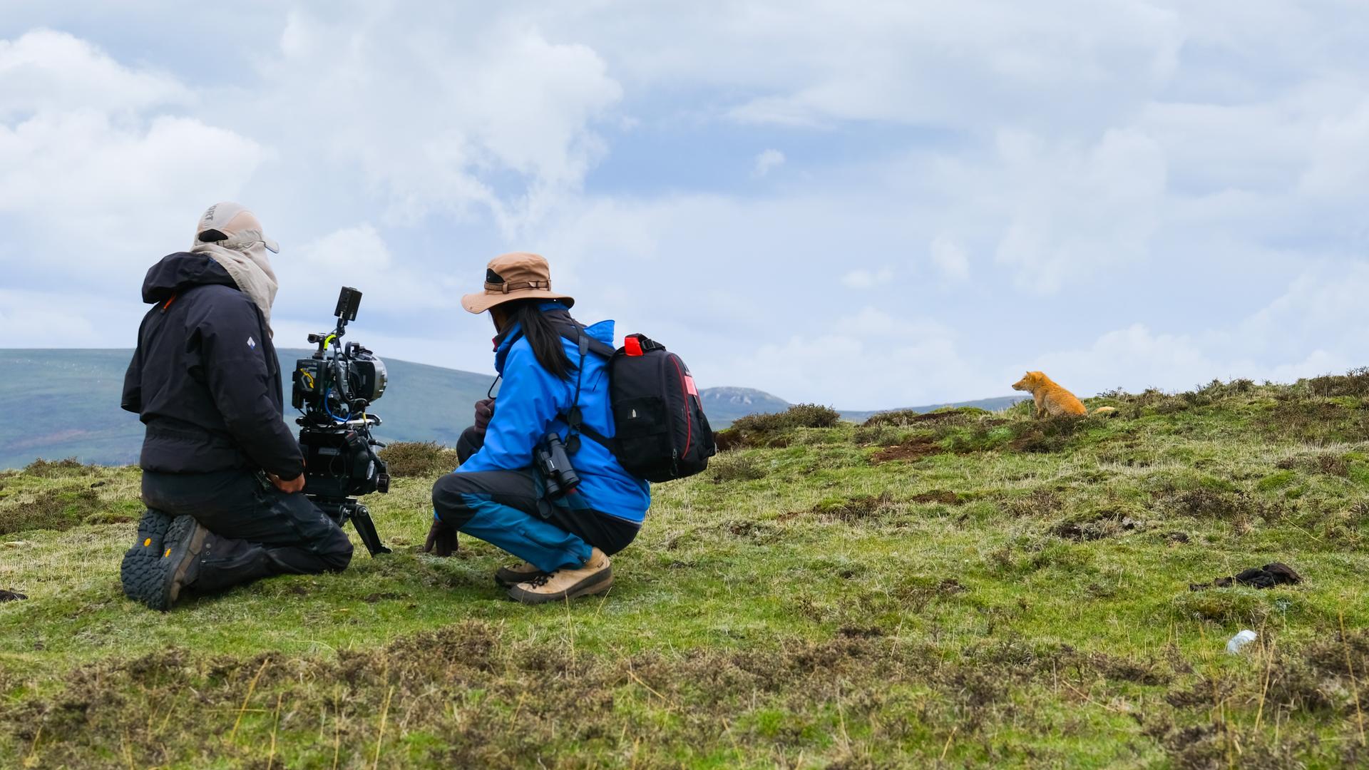 Kamerateam in den Bergen mit Fuchs