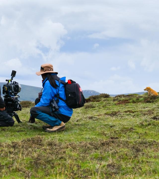 Kamerateam in den Bergen mit Fuchs