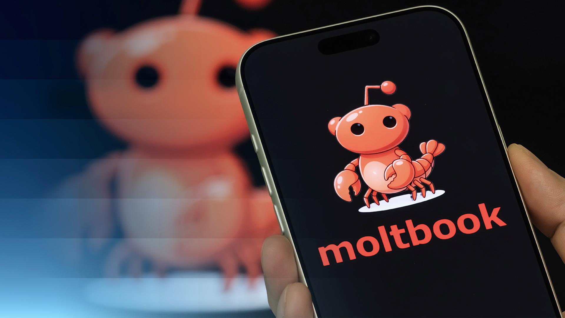 Ein Handy mit dem Moltook-Logo auf dem Screen.