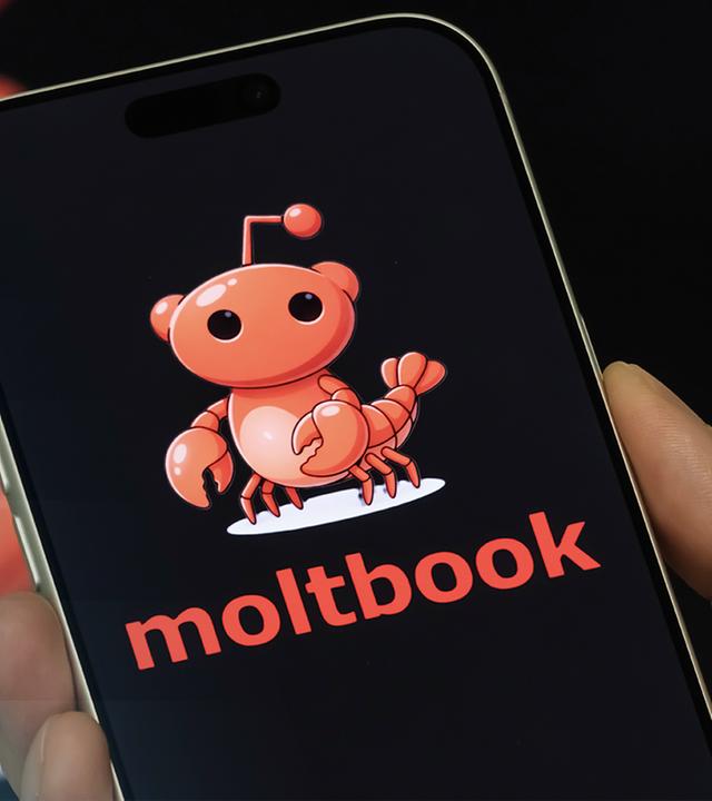 Ein Handy mit dem Moltook-Logo auf dem Screen.