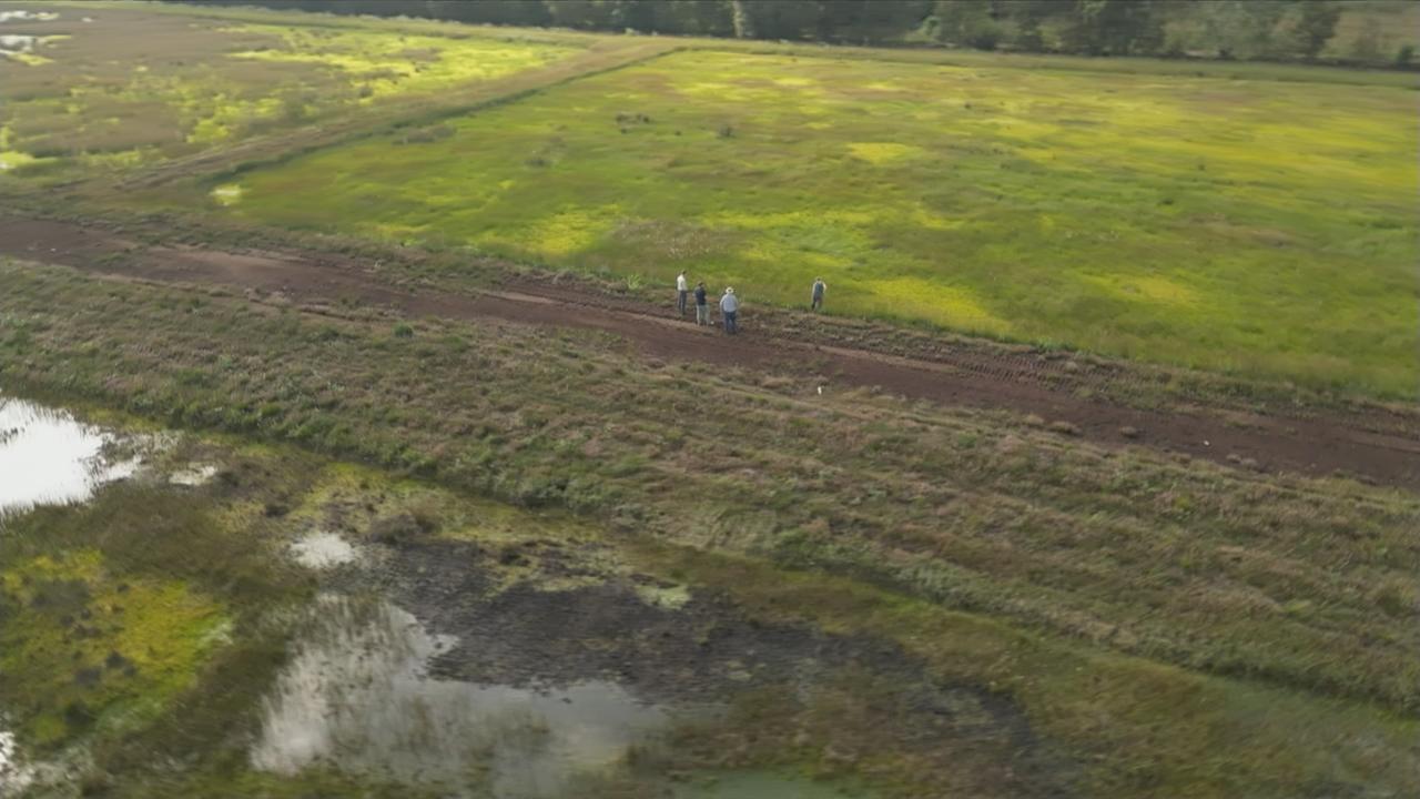 heute in Deutschland Wiedervernässung der Moore ZDFheute