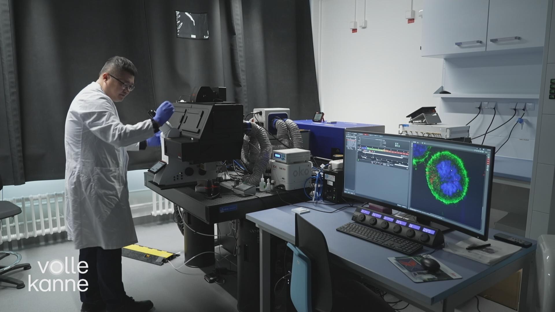 Forscher bei der Arbeit zu mRNA-Molekülen gegen Krebs