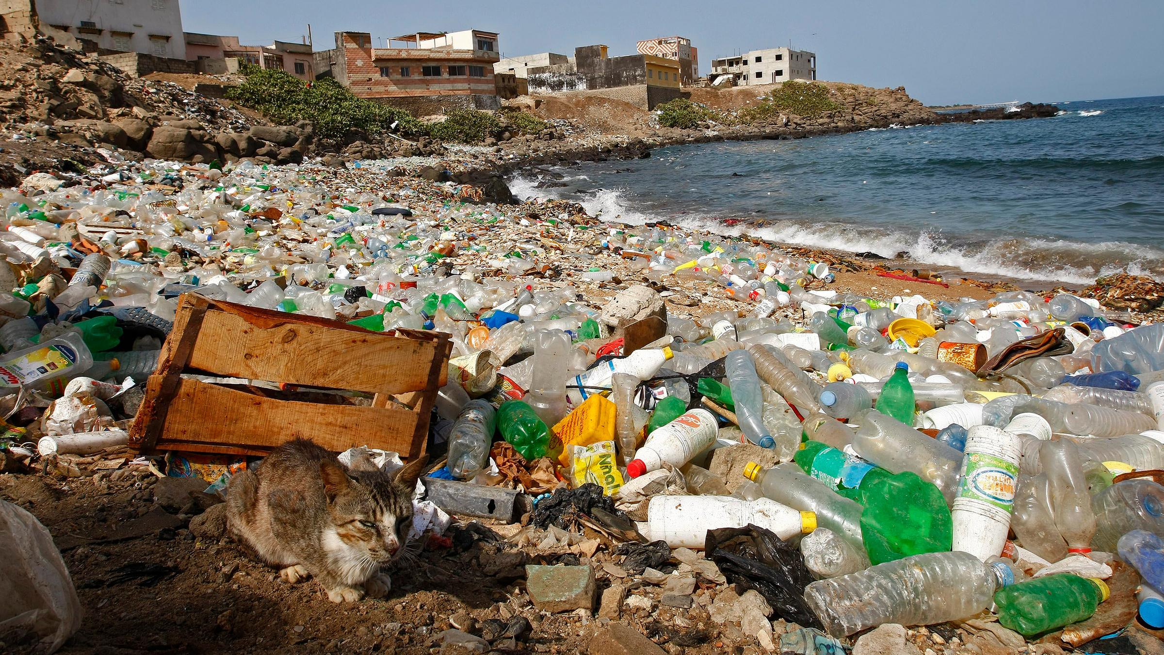 Müll im Meer (Symbolbild)