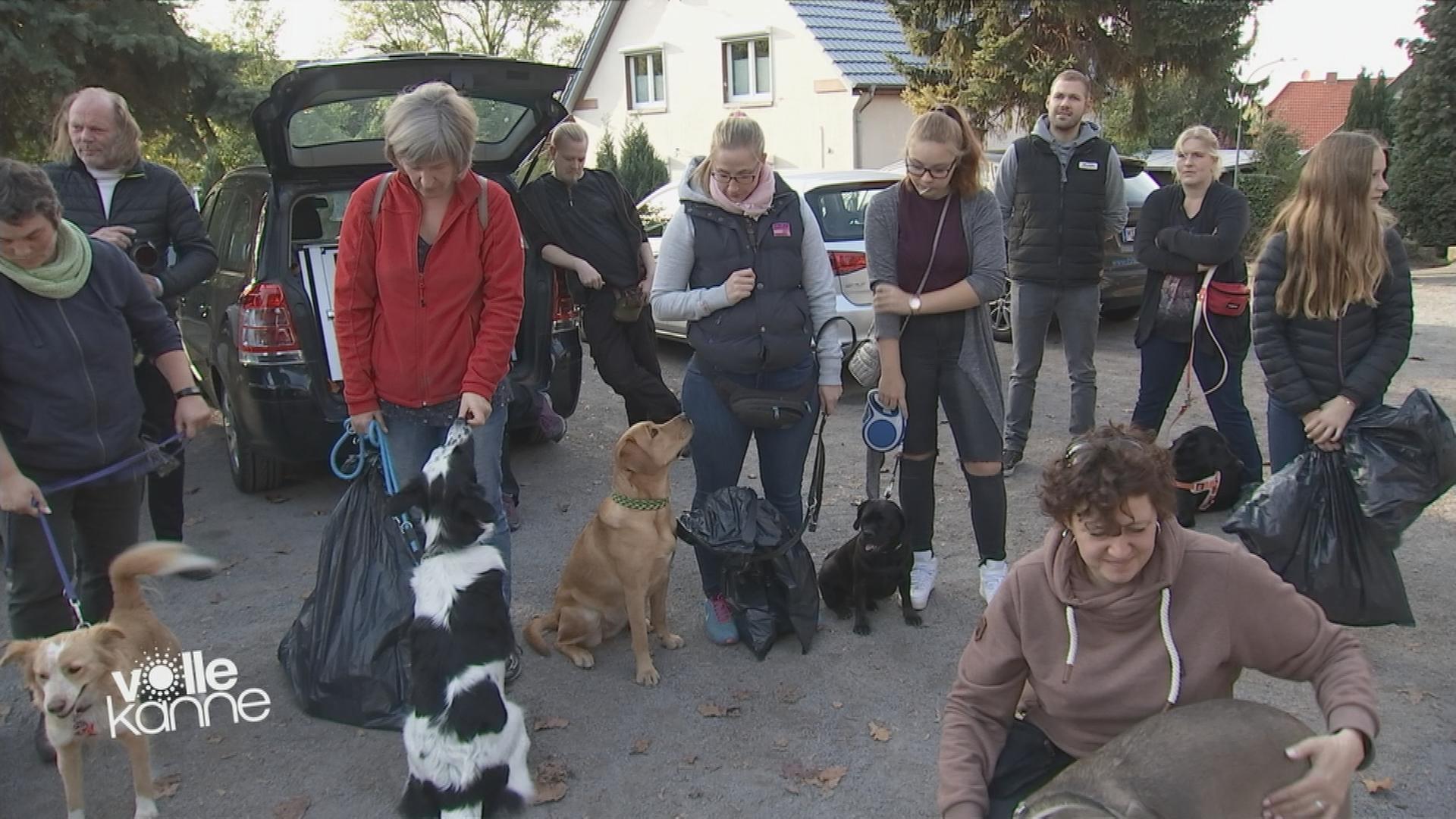 Müll sammeln mit Hunden