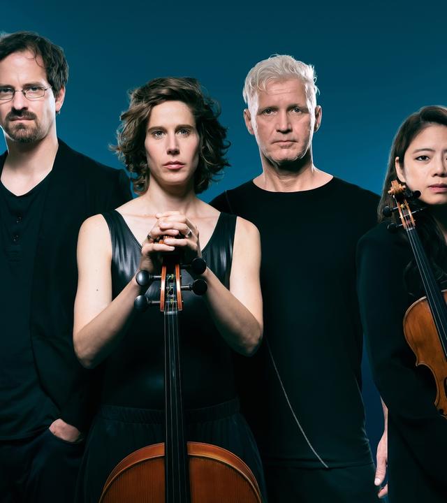 Man sieht 4 Personen mit Streichinstrumenten.