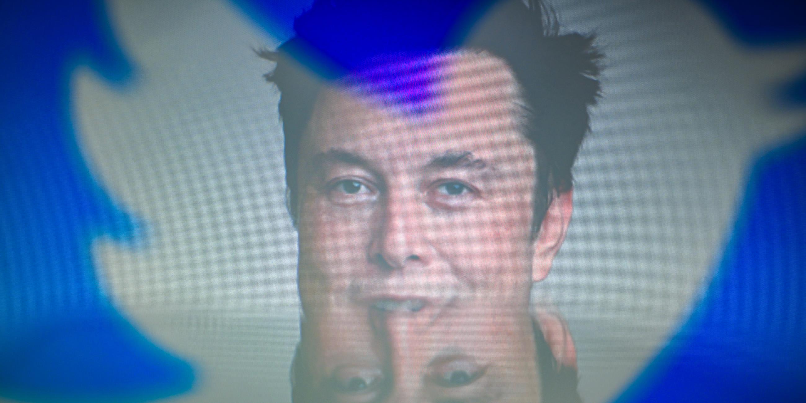 Elon Musk, gespiegelt im Twitter-Logo