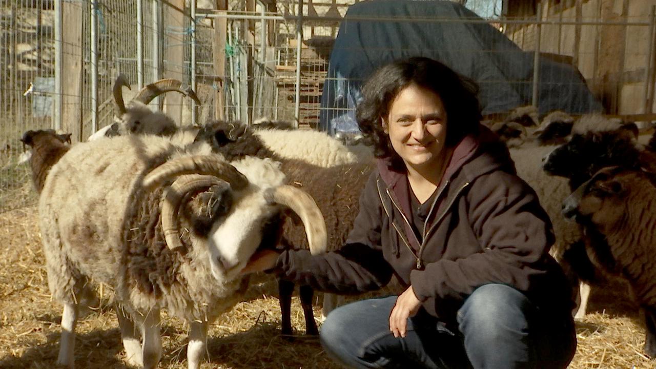 Muslim und vegan – passt das zusammen