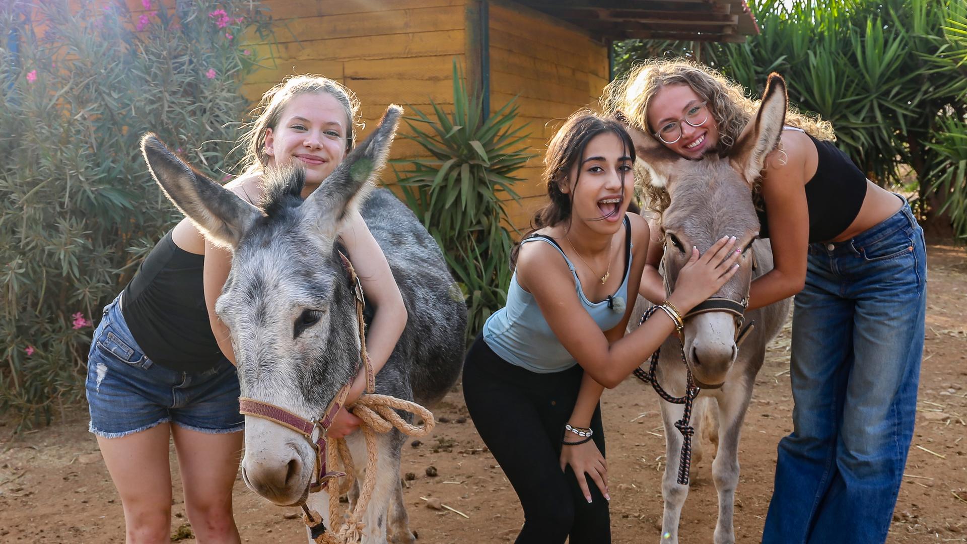Josefine, Mahak und Nele kuscheln mit drei Eseln.