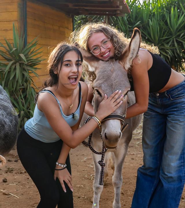 Josefine, Mahak und Nele kuscheln mit drei Eseln.