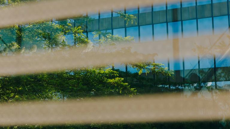 Typical für ZDF-Entsprechenserklärung Bereich Prozessmanagement: Äste vor ZDF-Hochaus schimmern durch Lamellen