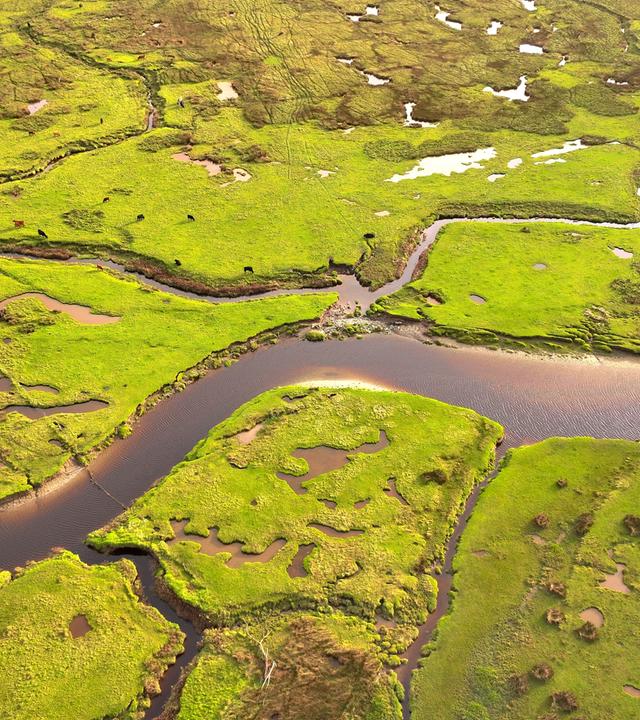 Luftbild: Eine grüne Landschaft wird von Flussarmen durchzogen.