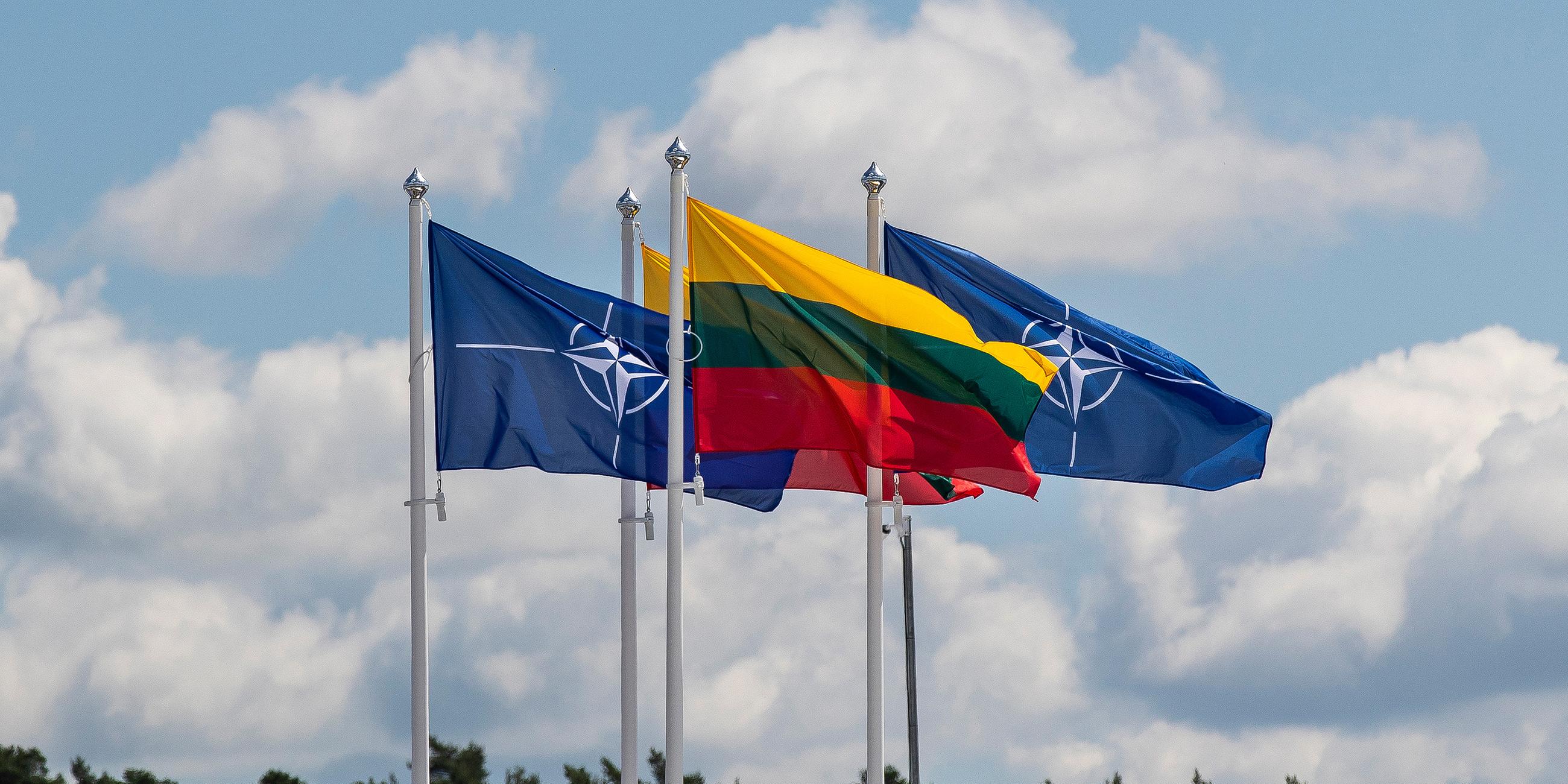 Flaggen der NATO-Mitgliedsländer