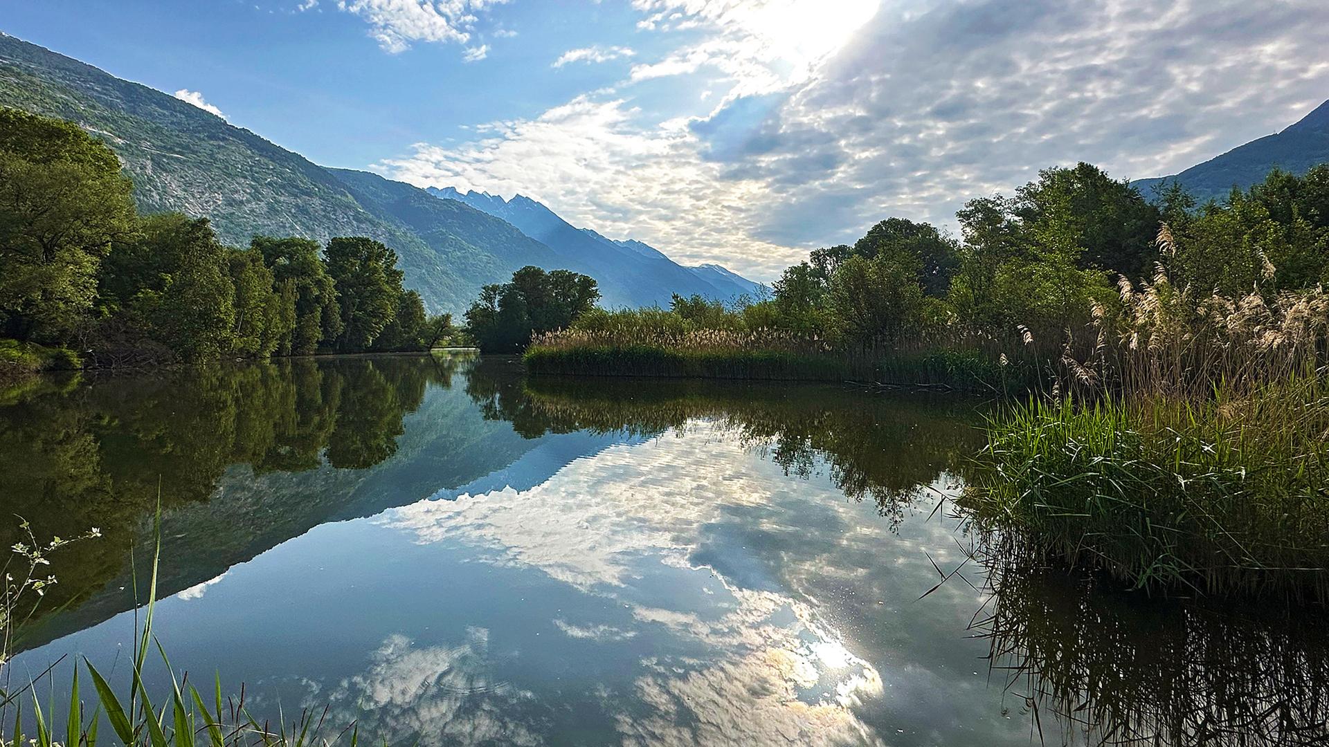 Das Leukerfeld im Naturpark Pfyn-
