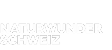 Naturwunder Schweiz Logo linksbündig