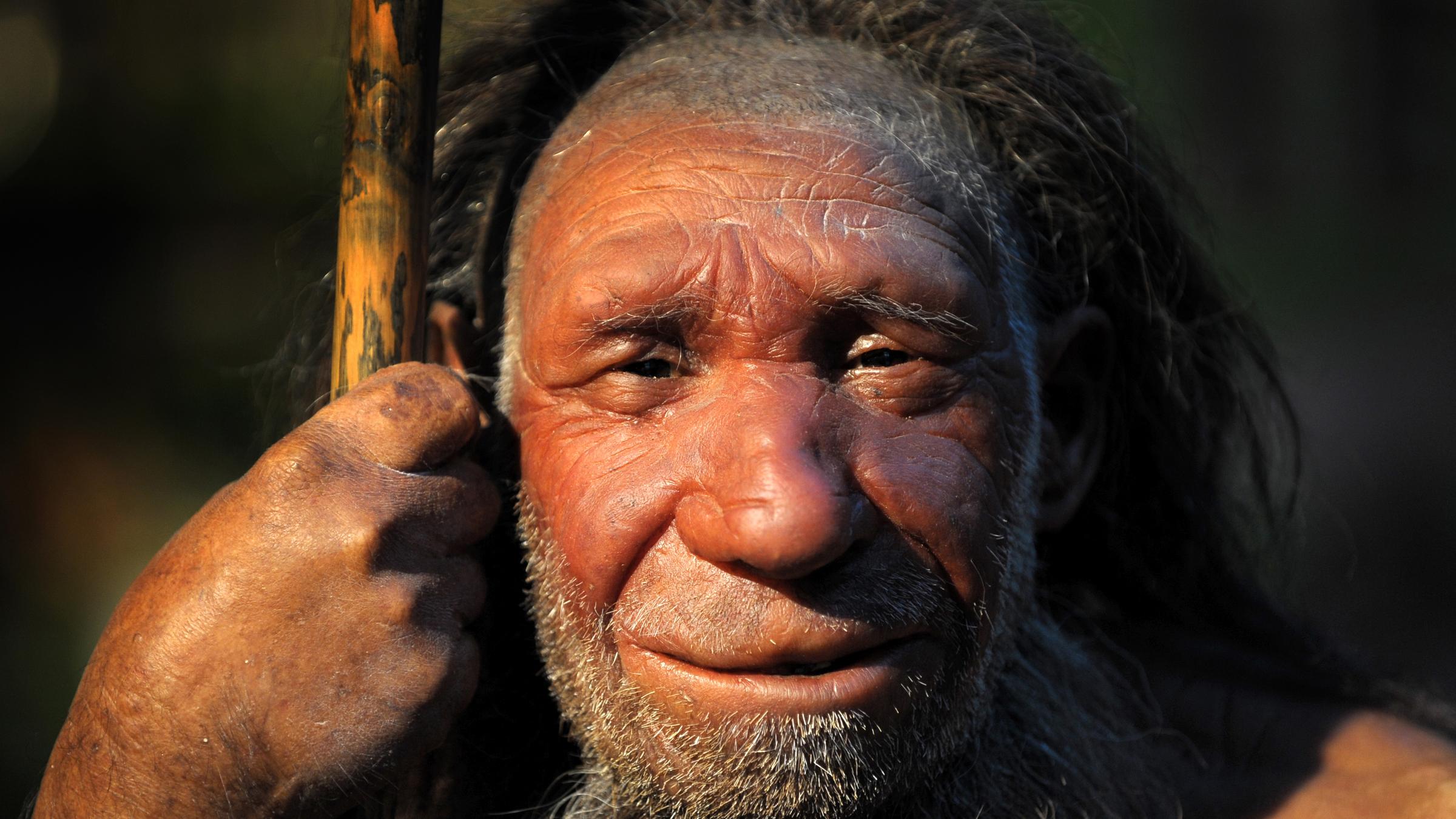 Neandertaler gene