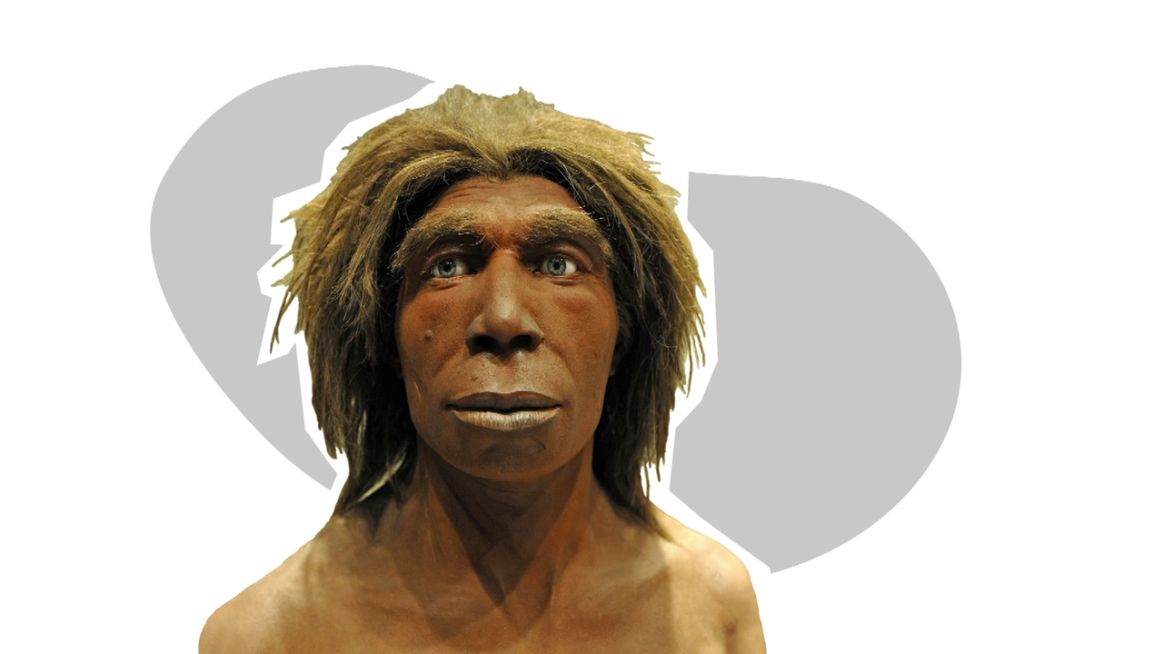 Der Neandertaler Was Wirklich Geschah