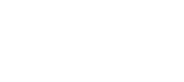 Nelly und das Weihnachtswunder