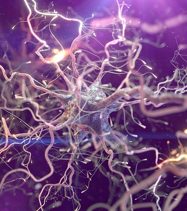 Grafik einer Nervenzelle in einem Netzwerk von weiteren Nervenzellen im menschlichen Gehirn.