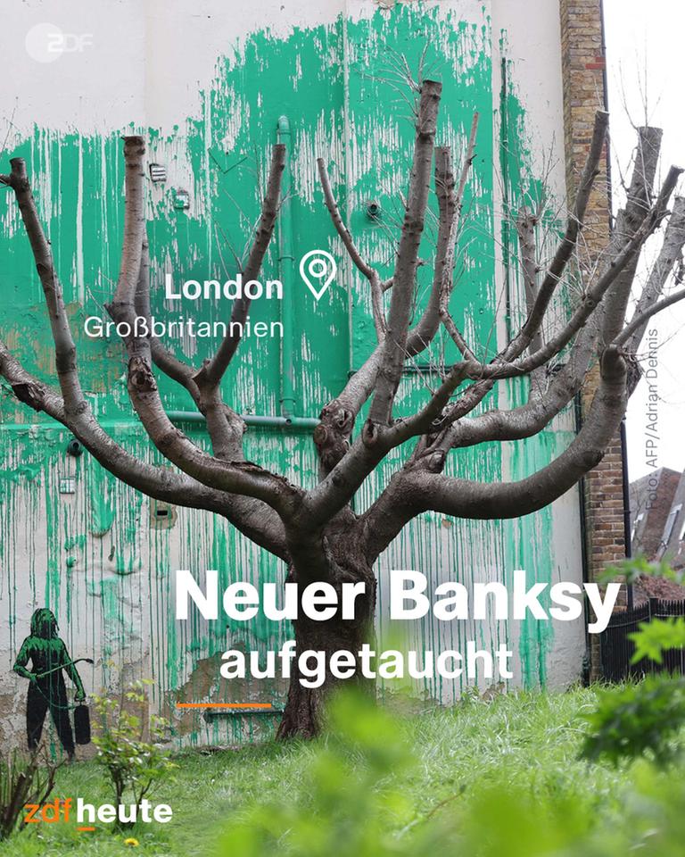Eine Wand hinter einem Baum mit dem neuen Banksy-Kunstwerk.