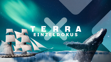 Terra X Welt 